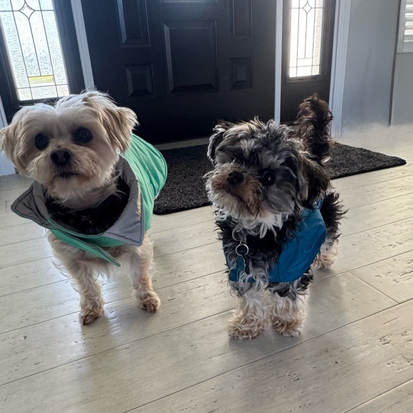 𝕎𝔼𝕃ℂ𝕆𝕄𝔼 𝕋𝕆 𝕄𝕐 ℂ𝕃𝕆𝕊𝔼𝕋 - Picture 5 of 8